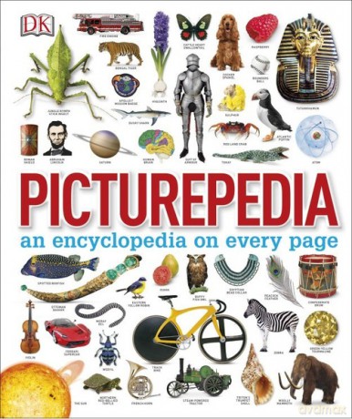 Picturepedia [KSIĄŻKA]
