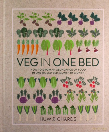 Veg in One Bed - Huw Richards [KSIĄŻKA]