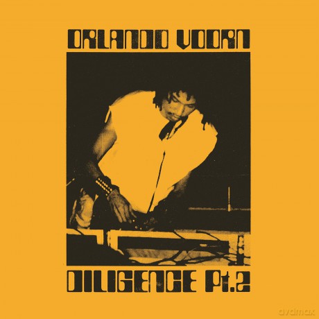 Orlando Voorn: Diligence Pt.2 [2xWinyl]
