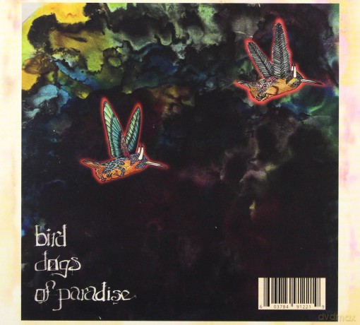 Jaimie Branch: Fly Or Die Ii: Bird Dogs Of Paradise [CD]