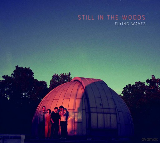 Still In The Woods: Flying Waves [CD]