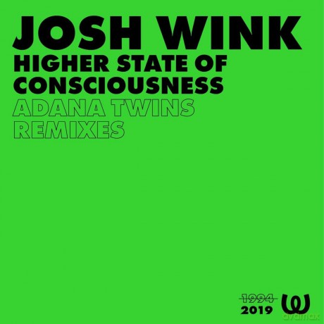 Josh Wink: Higher State Of Consciousness (Adana Twins Remix) [Winyl]