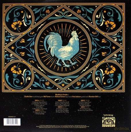 Blackberry Smoke: Homecoming (Live In Atlanta) (+Guitar Plectrum) [3xWinyl]