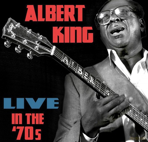 Albert King: Live In The 70s [CD]