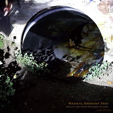 Radical Empathy Trio: Reality And Other Imaginary Places [CD]