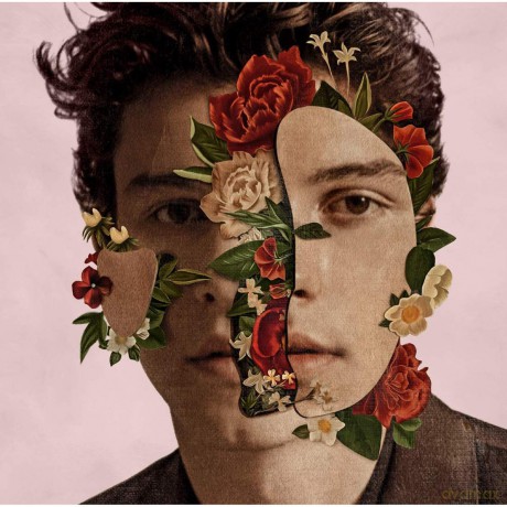 Shawn Mendes: Shawn Mendes (Deluxe) [CD]