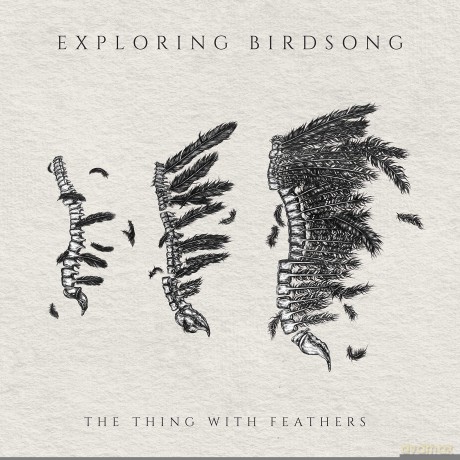 Exploring Birdsongs: The Thing With Feathers EP [CD]