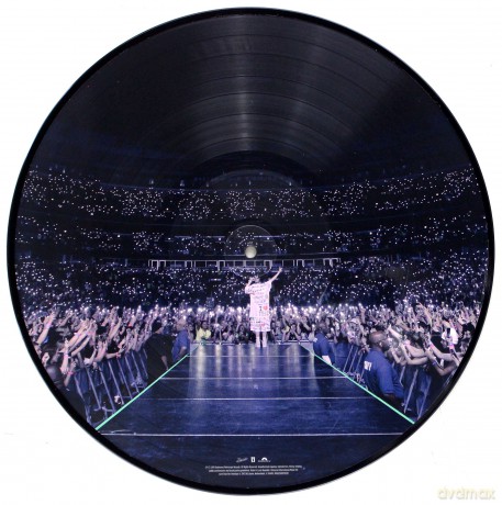 Billie Eilish: When We All Fall Asleep. Where Do We Go? (Tour Edition Picture) [Winyl]