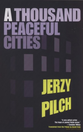 A Thousand Peaceful Cites - Jerzy Pilch [KSIĄŻKA]