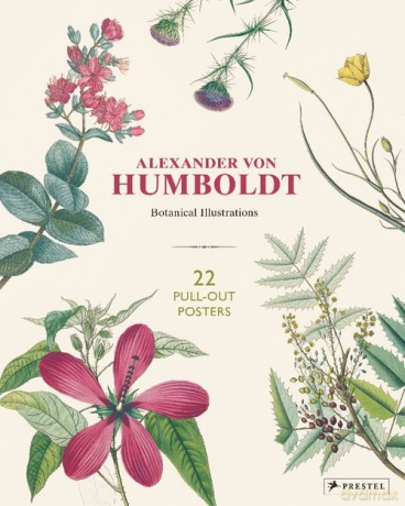 Alexander von Humboldt: Botanical Illustrations [KSIĄŻKA]