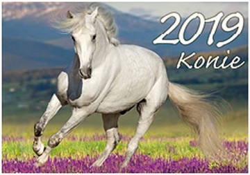 Kalendarz Konie 2019 KA2 [KALENDARZ]