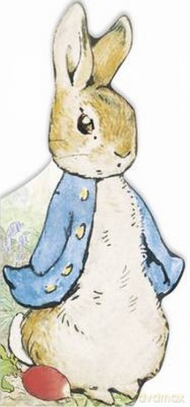 All About Peter - Beatrix Potter [KSIĄŻKA]