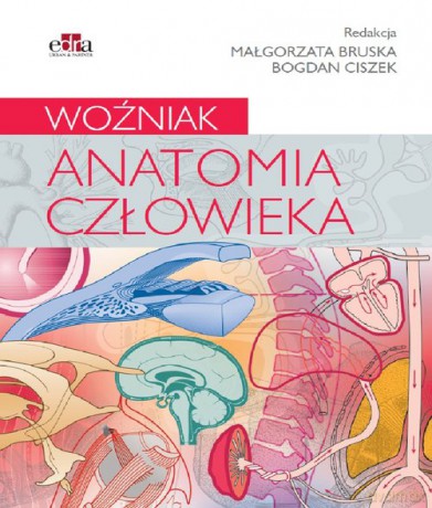 Anatomia człowieka. Woźniak [KSIĄŻKA]