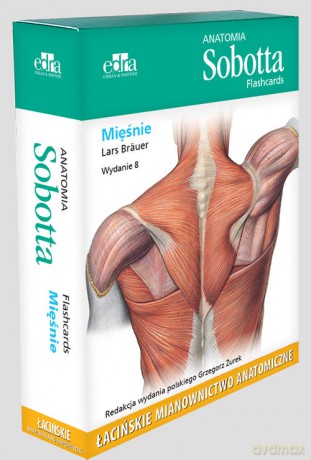 Anatomia Sobotta Flashcards Mięśnie - Lars Brauer [KSIĄŻKA]