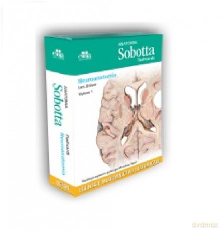Anatomia Sobotta Flashcards Neuroanatomia - L. Bräuer [KSIĄŻKA]