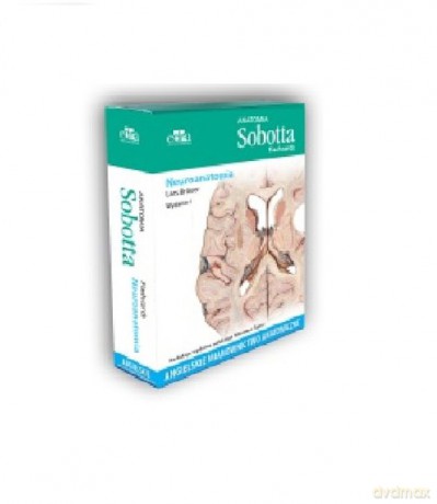 Anatomia Sobotta Flashcards Neuroanatomia. - L. Bräuer [KSIĄŻKA]