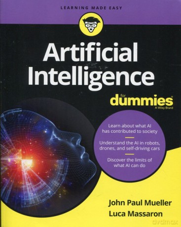 Artificial Intelligence For Dummies [KSIĄŻKA]