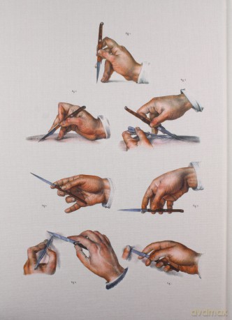 Atlas of Human Anatomy and Surgery [KSIĄŻKA]