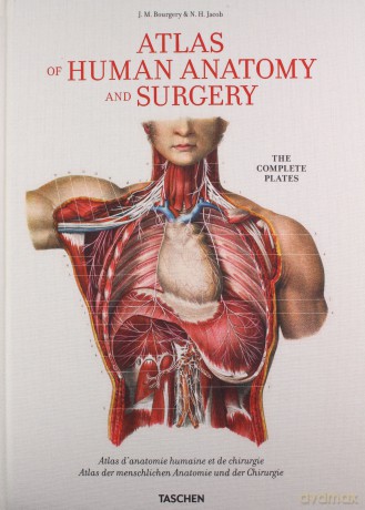 Atlas of Human Anatomy and Surgery [KSIĄŻKA]