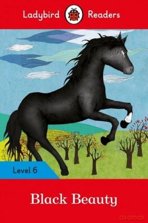 Black Beauty Level 6 [KSIĄŻKA]