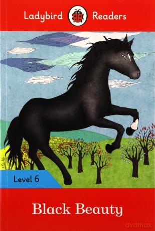 Black Beauty Level 6 [KSIĄŻKA]