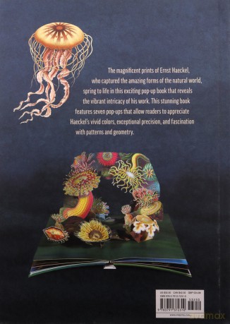 Creatures of the Deep - Ernst Haeckel, Maike Biederstaedt [KSIĄŻKA]