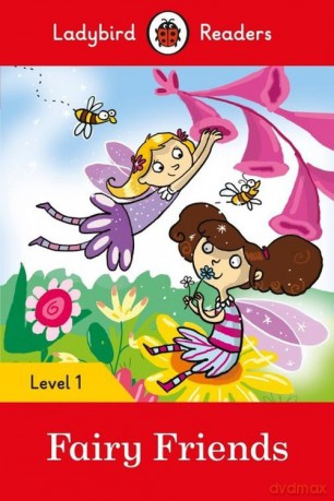 Fairy Friends Level 1 [KSIĄŻKA]