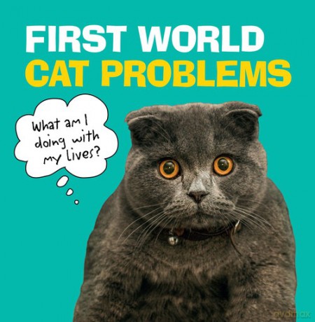 First-World Cat Problems [KSIĄŻKA]
