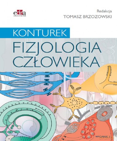 Fizjologia człowieka. Konturek [KSIĄŻKA]