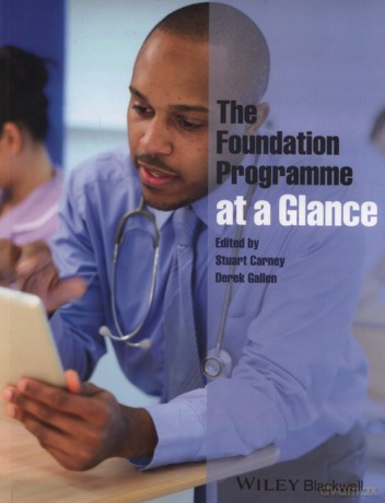 Foundation Programme at a Glance [KSIĄŻKA]