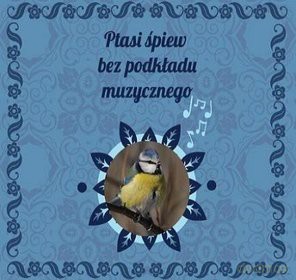 Ptasi śpiew bez podkładu muzycznego [BOX] [4CD]