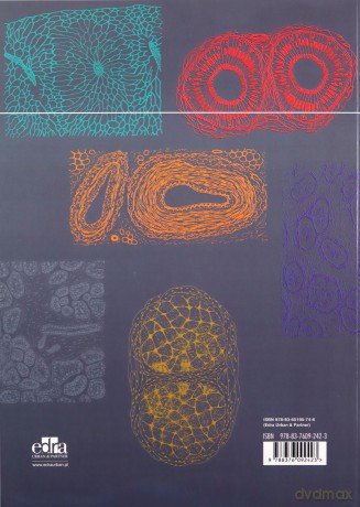 Histology - Teresa Wysocka, Ewa Jagoda [KSIĄŻKA]
