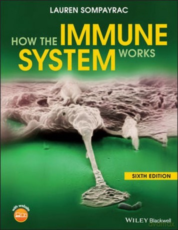 How the Immune System Works - Lauren Sompayrac [KSIĄŻKA]