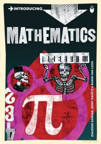 Introducing Mathematics [KSIĄŻKA]