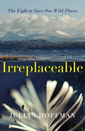 Irreplaceable - Julian Hoffman [KSIĄŻKA]