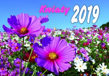 Kalendarz Kwiaty 2019 KA5 [KALENDARZ]