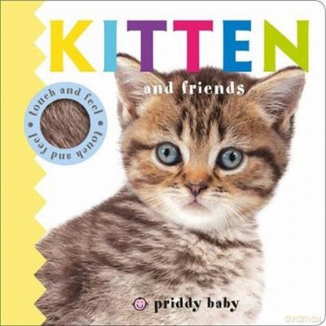 Kitten and Friends - Roger Priddy [KSIĄŻKA]