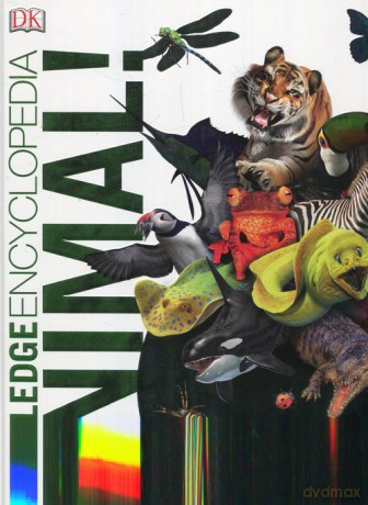 Knowledge Encyclopedia Animal! - John Woodward [KSIĄŻKA]
