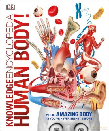 Knowledge Encyclopedia Human Body [KSIĄŻKA]