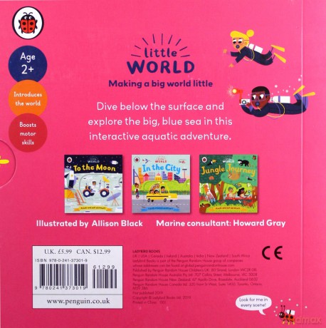 Little World: Under the Sea [KSIĄŻKA]