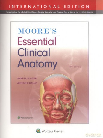 Moore's Essential Clinical Anatomy Sixth edition, International Edition - Anne M. R. Agur, Arthur F. Dalley [KSIĄŻKA]
