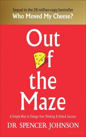 Out of the Maze [KSIĄŻKA]