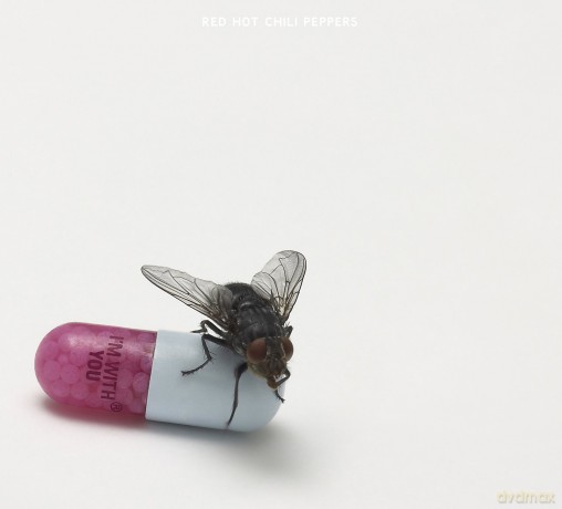 Red Hot Chili Peppers: Im With You (ecopack) [CD]