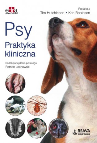 Psy. Praktyka kliniczna - T. Hutchinson, K. Robinson [KSIĄŻKA]