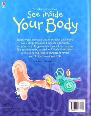 See inside Your Body - Katie Daynes, Colin King [KSIĄŻKA]