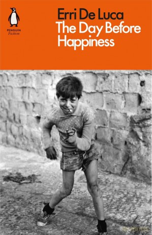 The Day Before Happiness - Luca Erri De [KSIĄŻKA]