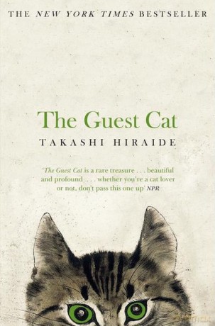 The Guest Cat - Takashi Hiraide [KSIĄŻKA]