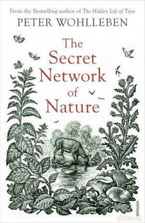 The Secret Network of Nature - Peter Wohlleben [KSIĄŻKA]