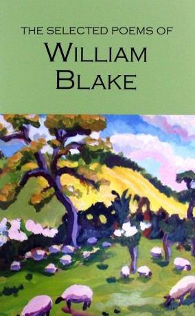 The Selected Poems of William Blake - William Blake [KSIĄŻKA]