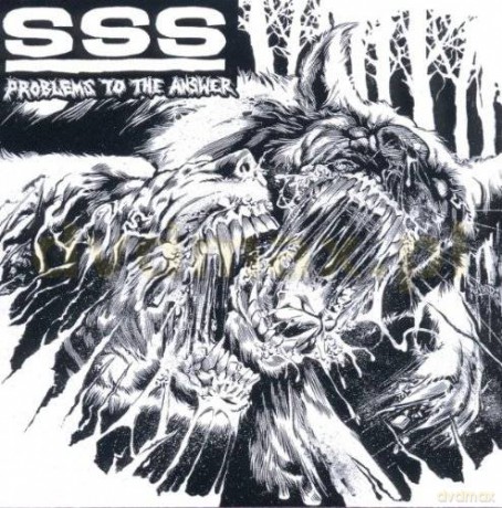 SSS: Problems To The Answer [CD]